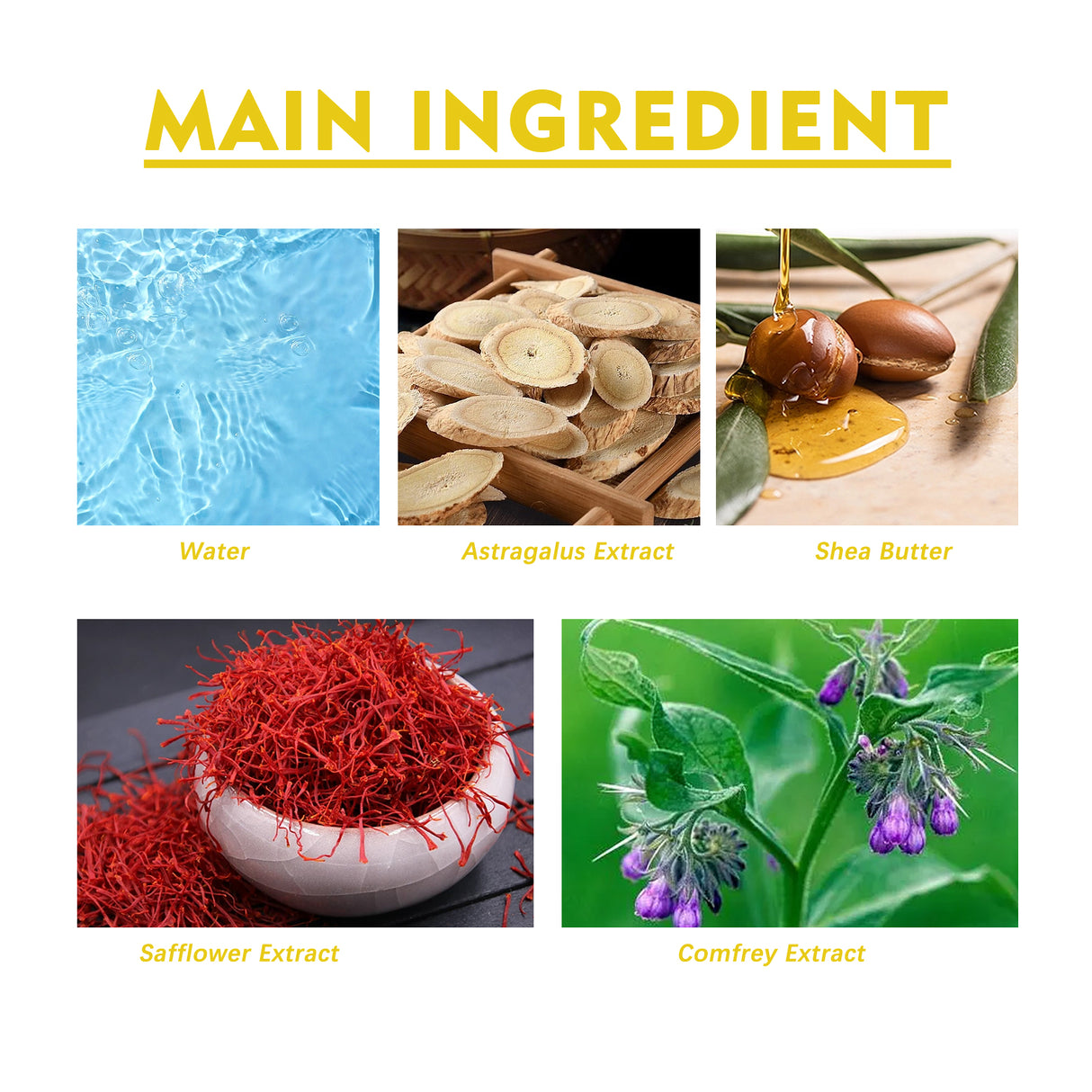 Hydrating And Moisturizing Astragalus Cream Astragalus Essence Gently Nourishes Facial Skin - V.I.P Digital Presence