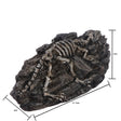 Crawler toy shelter aquarium fish tank ornaments - V.I.P Digital Presence