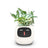 USB Auto Absorbent Planter Brand New PP Resin Plastic Round Eco-friendly Interactive - V.I.P Digital Presence