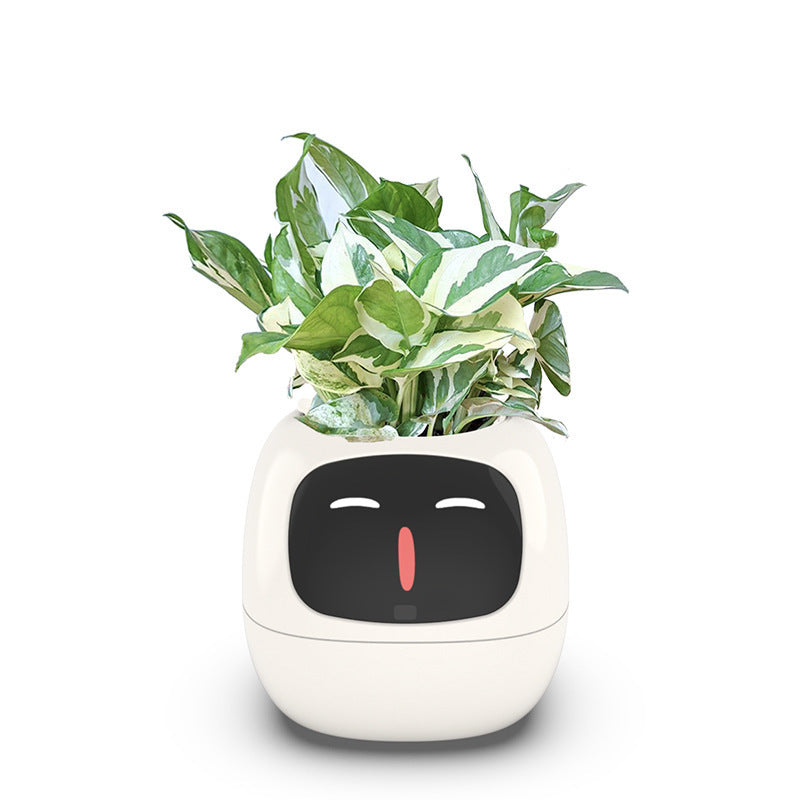 USB Auto Absorbent Planter Brand New PP Resin Plastic Round Eco-friendly Interactive - V.I.P Digital Presence