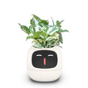 USB Auto Absorbent Planter Brand New PP Resin Plastic Round Eco-friendly Interactive - V.I.P Digital Presence