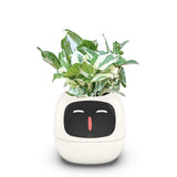 USB Auto Absorbent Planter Brand New PP Resin Plastic Round Eco-friendly Interactive - V.I.P Digital Presence