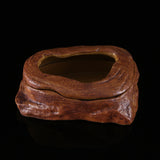 Water grass landscaping pet turtle food basin fish tank ornaments - V.I.P Digital Presence