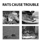 Mouse Repellent Spray, Household Gardening Rat-Repellent Rat-Repellent Solution Cockroach Repellent Mosquito Repellent Spray - V.I.P Digital Presence