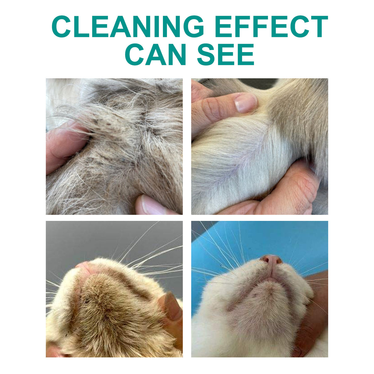 Pet Leave-In Cleaning Gloves Dog Bath Cat Clean Dry Cleaning Gloves Deodorizing Odor Removal - V.I.P Digital Presence