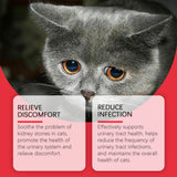 Pet Dietary Supplement, Take Care Of The Pet Body Discomfort Cat To Absorb Nutritional Supplements - V.I.P Digital Presence