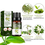 Aceite esencial de árbol de té, reparador del acné, reduce los poros, hidratante, cuidado facial.
