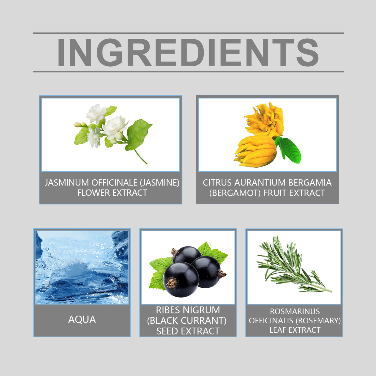 Men's Floral Pheromones Fragrance Lasting Fragrance Exudes Male Charm Niche Wooden Portable Ball Bearing Perfume - V.I.P Digital Presence