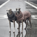 Dog clothing thickened warm waterproof windproof two leg coat pet vest cotton coat - V.I.P Digital Presence