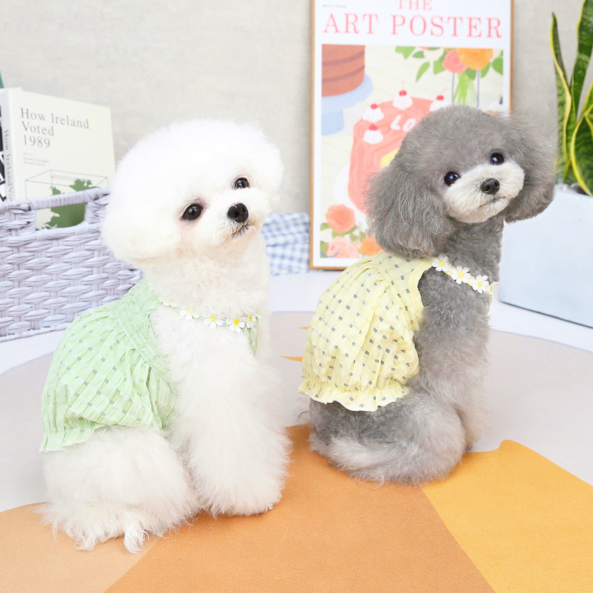 Pet Clothes Spring And Summer Dog Clothes Small Dog Clothes Pet - V.I.P Digital Presence