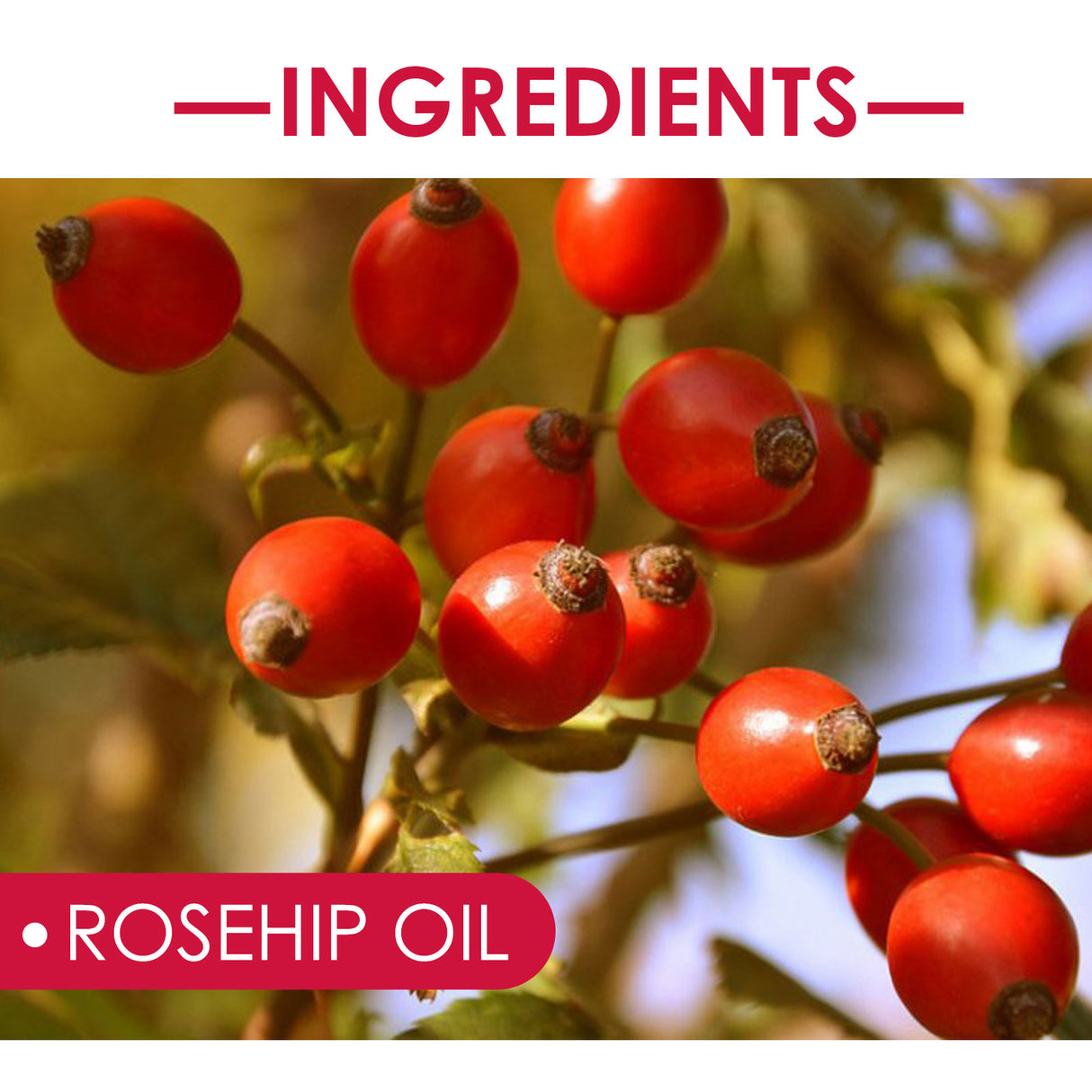 Rose Hip Facial Essential Oil Facial Body Moisturizing Skin care Supple Hair Care Massage Essential Oil - V.I.P Digital Presence