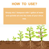 Premium 3-1-2 Liquid Fertilizer Concentrate For Citrus Trees, Orange Fruit Tree Plant Root Green Leaf Beauty Fruit Growth Nutrient Solution - V.I.P Digital Presence