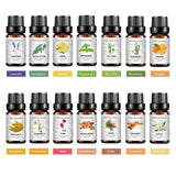 14 Piece Cross border Unilateral Essential Oil Set Box Unisex 14 Pack Body Set 10ml - V.I.P Digital Presence