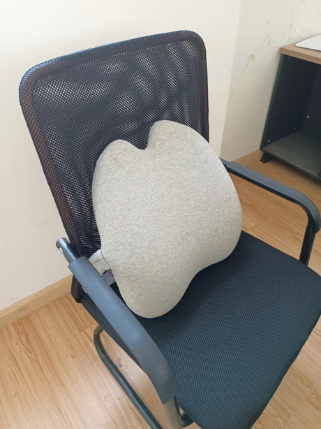 Lab Extra Dense Lumbar Pillow - Patented Ergonomic Multi-Region Firm Back Support for Lower Back Pain Relief - Lumbar Su - V.I.P Digital Presence