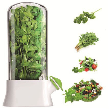 Vanilla vegetable fresh-keeping box pressure resistant fresh-keeping device creative fresh-keeping cup - V.I.P Digital Presence