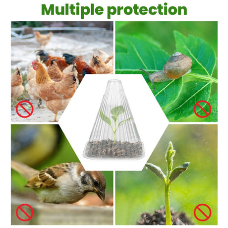 30 Reusable Square Planting Tents. Protect plants from birds, frost & snails. - V.I.P Digital Presence