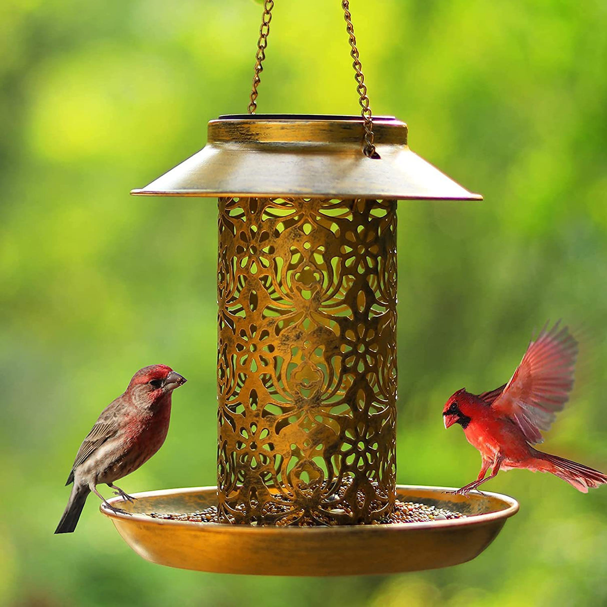 Outdoor solar powered lamp metal hanging bird feeder feeding and watering dual-purpose bird feeder decorative lamp - V.I.P Digital Presence