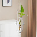 Scandinavian-Style Glass Hydroponic Vase for Living Room with Creative Hanging Door Decor and Wall Ivy Plant Water Cultivation Transparent Pot - V.I.P Digital Presence