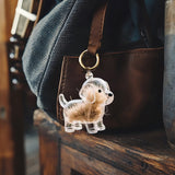 A transparent DIY pet hair memorial keychain box, a sweet keepsake for dog lovers. - V.I.P Digital Presence