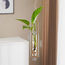 Scandinavian-Style Glass Hydroponic Vase for Living Room with Creative Hanging Door Decor and Wall Ivy Plant Water Cultivation Transparent Pot - V.I.P Digital Presence