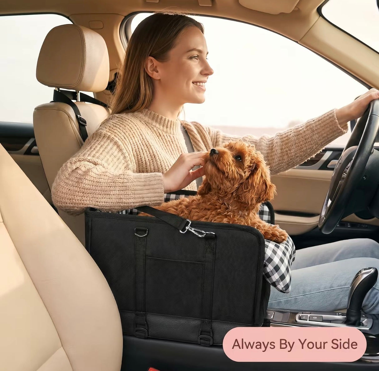 PawRide Pet Car Seat