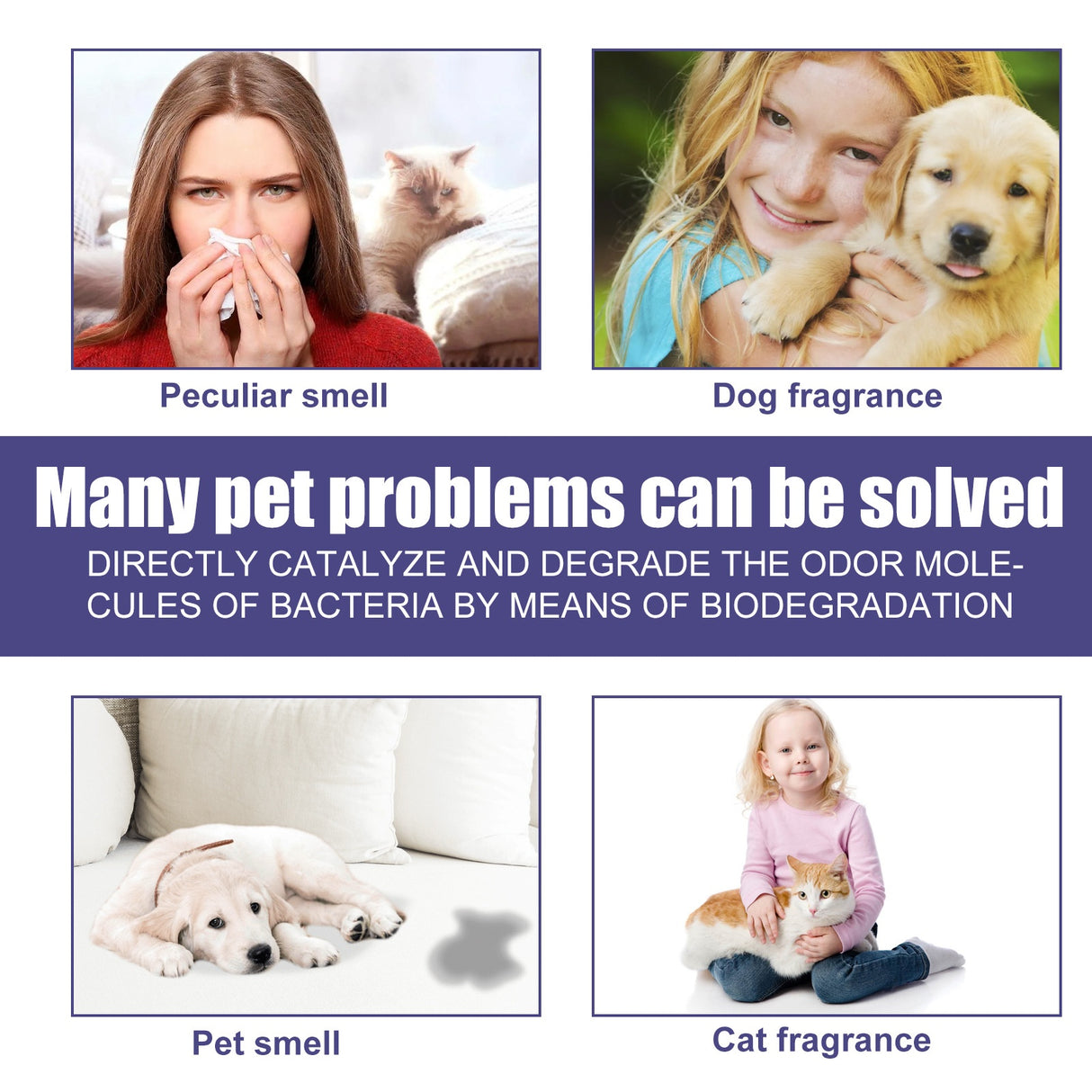 Pet Deodorant Spray for Cats and Dogs - Eliminates Odors, Urine Smell, Body Odor, and Feces Odor, Air Freshener Mist - V.I.P Digital Presence