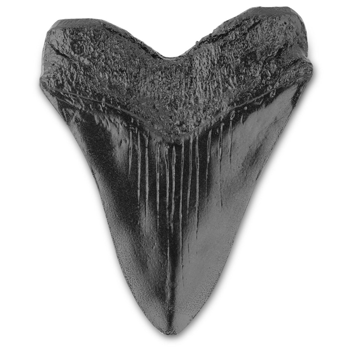 Resin crafts, retro simulation shark teeth, animal teeth, auspicious indoor decoration ornaments - V.I.P Digital Presence