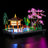 YEABRICKS is compatible with LEGO 10315 Peaceful Garden building blocks, LED lighting, creative accessories, and assembled lighting - V.I.P Digital Presence