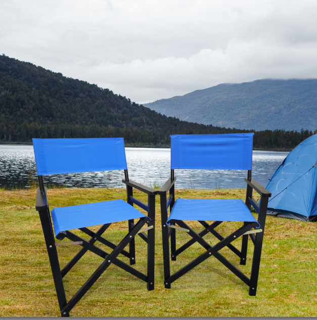 Folding Chair Wooden Director Chair Canvas Folding Chair Folding Chair 2pcs/set populus + Canvas (Color : Blue) - V.I.P Digital Presence