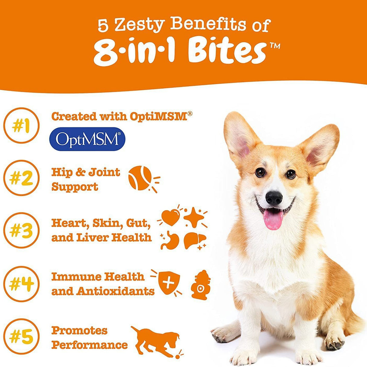 Pet Vitamin Health Product: Multi-Functional Nutritional Supplement for Dogs - V.I.P Digital Presence