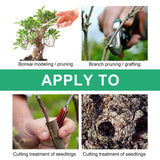 Seedling Tree Wound Sealer Callus Scars Cut Paste Bonsai Pruning Sealer Saw Cuts Coating Tree Wound Healing Paste Tree - V.I.P Digital Presence
