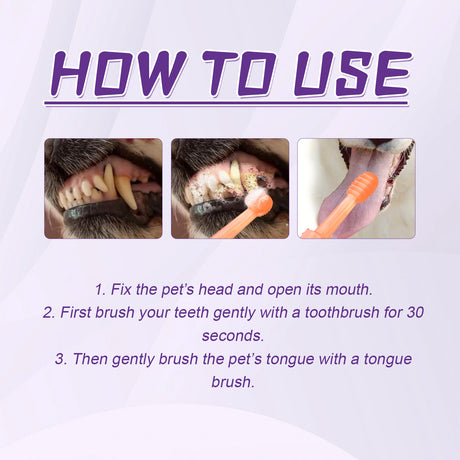 Pet Toothbrush For Dogs, Pet Oral Cleaning Dental Stains Dental Health Care - V.I.P Digital Presence