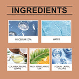 Car Interior Cleaning Agent, Leather Fabric Plastic Effective Cleaning And Stain Removal Cleaner - V.I.P Digital Presence