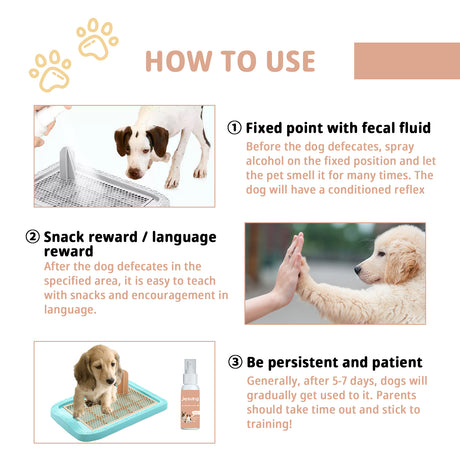 Pet Defecation Inducer Spot-Training Induction Spray Pet Toilet Inducer - V.I.P Digital Presence