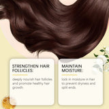 Nourishing Hair Care Tea Oil Spray Herbal Extraction Camellia Seed Oil Repair Dry And Smooth Hair Treatment - V.I.P Digital Presence