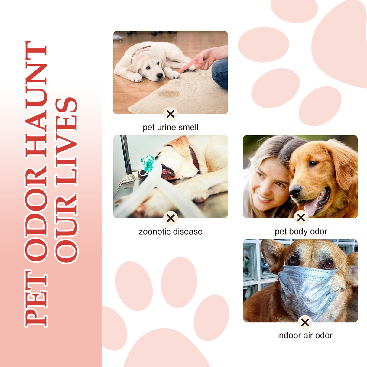 Pet Deodorant Spray, Indoor Cat And Dog Deodorizer Stay Fragrance Refreshing Spray - V.I.P Digital Presence