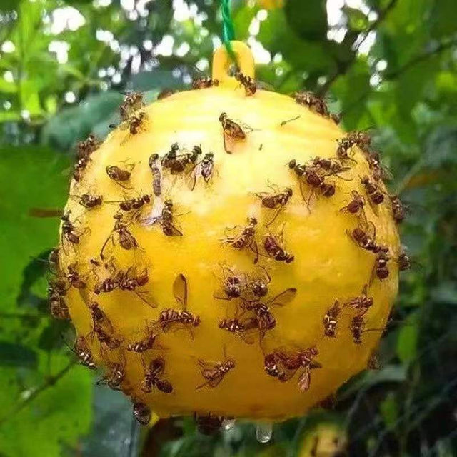 Fly Ball Traps 8cm Insects Fly Swatter Fruit Flies Trap Reusable Hanging Trap Ball Pest Repeller Killer Garden Supplies - V.I.P Digital Presence