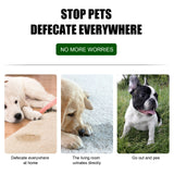 Pet Location Training Agent for Toilet Induction and Waste Positioning - V.I.P Digital Presence