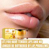 With Lip Brush Natural Honey Lip Film Desalinates Lip Lines Desalinates Lip Color Moisturizes And Moisturizes Lip Film Not Greasy And Easy To Absorb - V.I.P Digital Presence