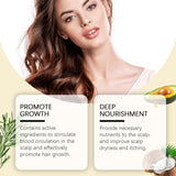 Rosemary Hair Care Essential Oil Soft Luster Hair Solid Dry Hair Fluffy Hair Care Scalp Essential Oil - V.I.P Digital Presence
