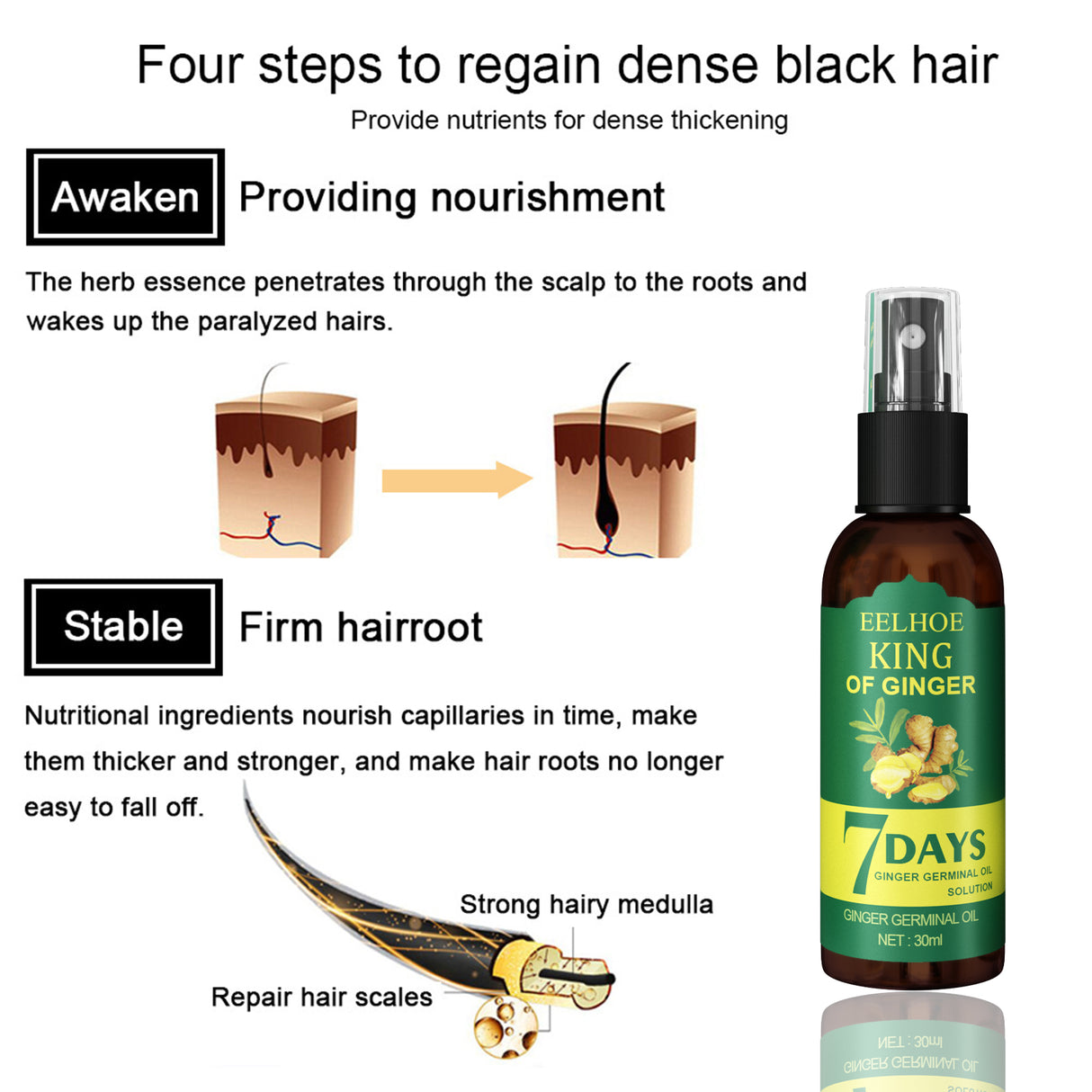 EEL Ginger Hair Spray, Strengthens Hair, Massages Scalp And Restores Hair - V.I.P Digital Presence