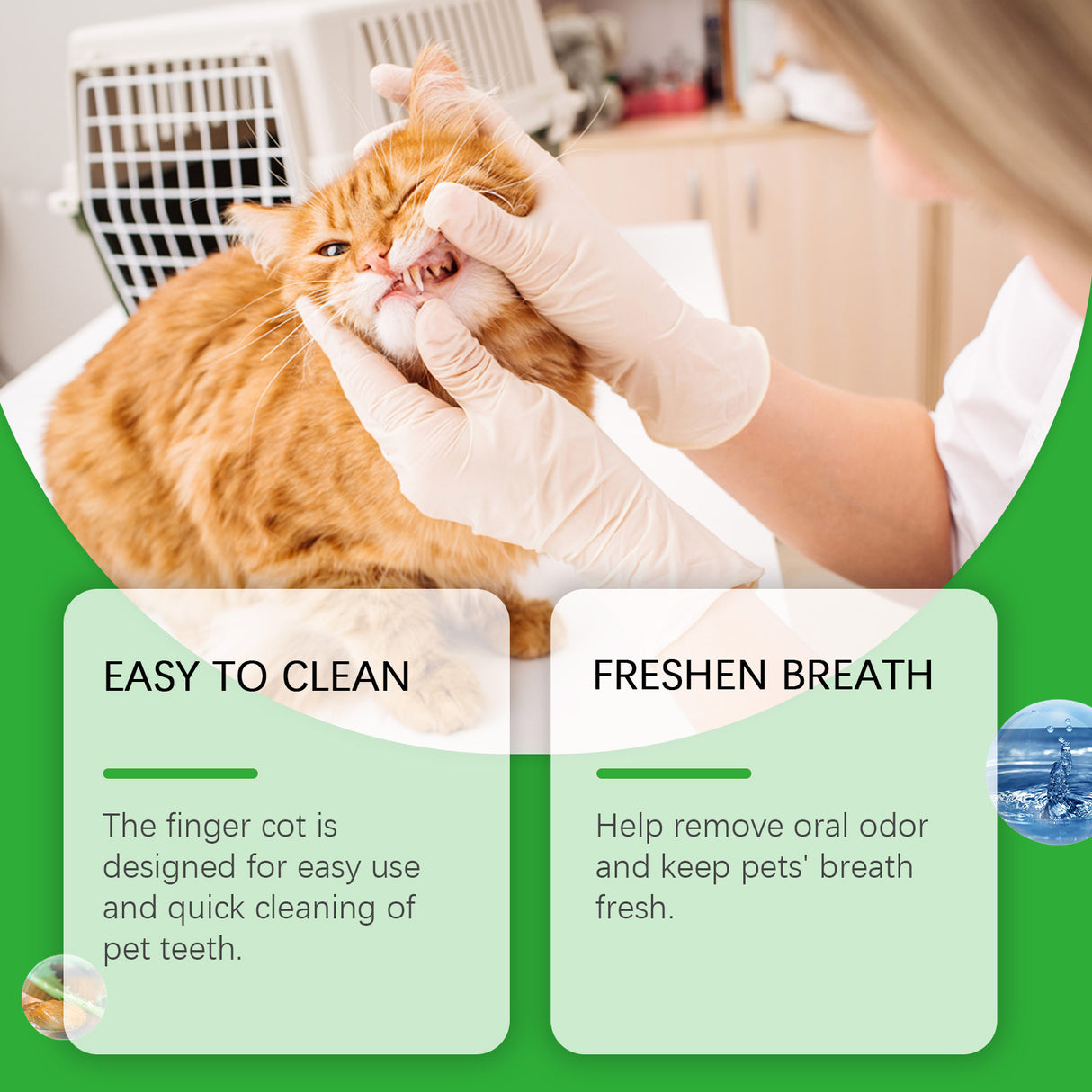 Dog And Cat Tooth Wipes, Pet Dog Mild Tooth Cleaning Tartar Stains Fresh Breath Wipes - V.I.P Digital Presence