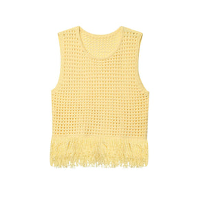 Fashionable Casual Tassel Design Plaid Knitted Top for Women - V.I.P Digital Presence