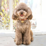 Claw Print Bone Alloy Bells for Pet Collars - Supplies for Dogs & Cats - V.I.P Digital Presence