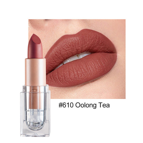 HANDAIYAN Matte Lipstick 12 Color Lipstick Not Easy To Fade Nude Pink Lipstick - V.I.P Digital Presence