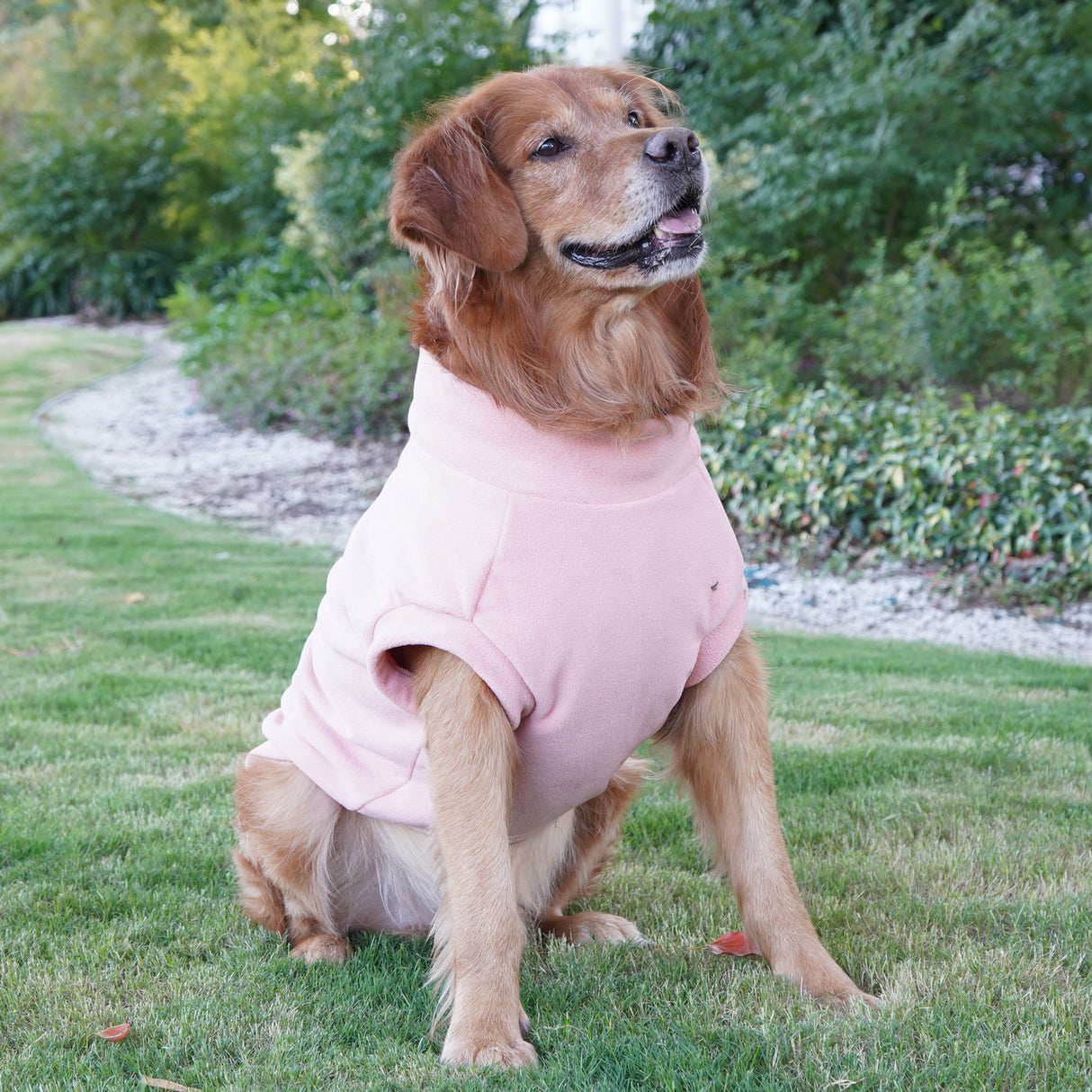 Pet Labrador Golden Retriever Dog Clothes Large Breed Winter Warm Pet Clothes European and American Cross-border Wholesale - V.I.P Digital Presence
