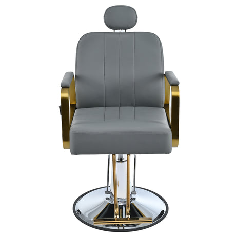 Advanced reclining hair salon chair with heavy-duty hydraulic pump, 360 ° rotation, maximum weight capacity of 400 pounds, Gray - V.I.P Digital Presence