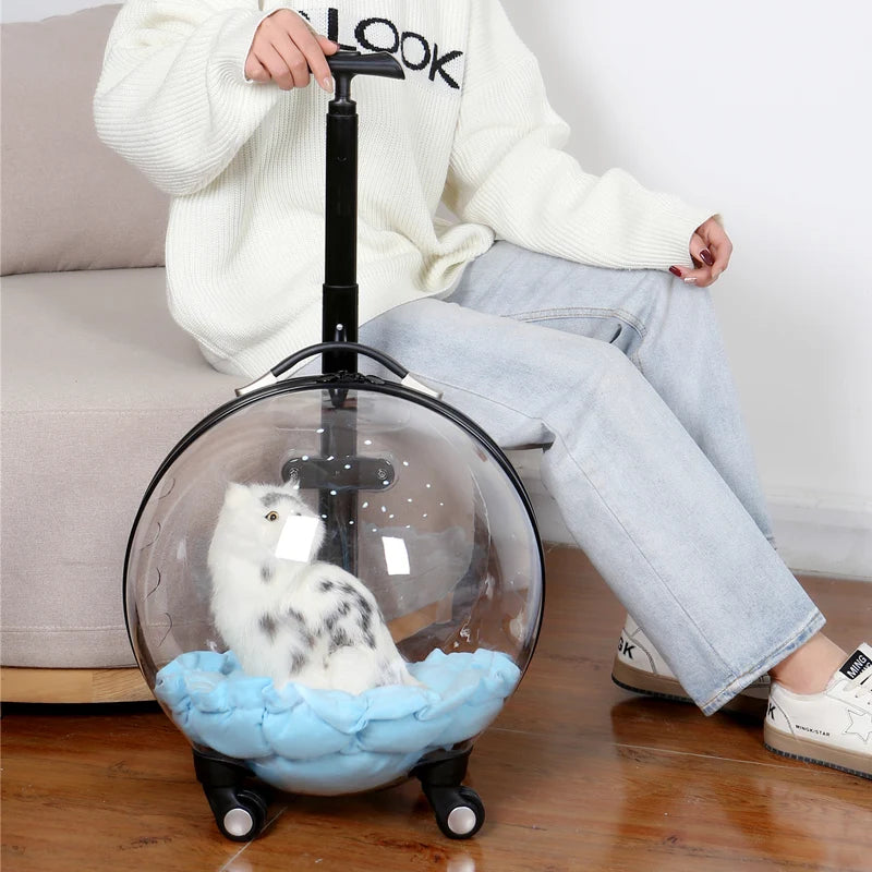 Rolling Pet Travel Trolley with Wheel, Transparent Capsule, Pink, Green, Puppies, Dogs, Cat Carriers Bag, 5-20Kg - V.I.P Digital Presence