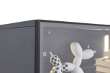 Single door display cabinet - V.I.P Digital Presence