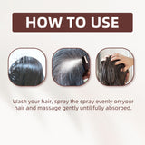 Polygonum Spray, Moisturizing Hair Smooth Shine Thick Solid Hair Black Hair Conditioning Spray - V.I.P Digital Presence